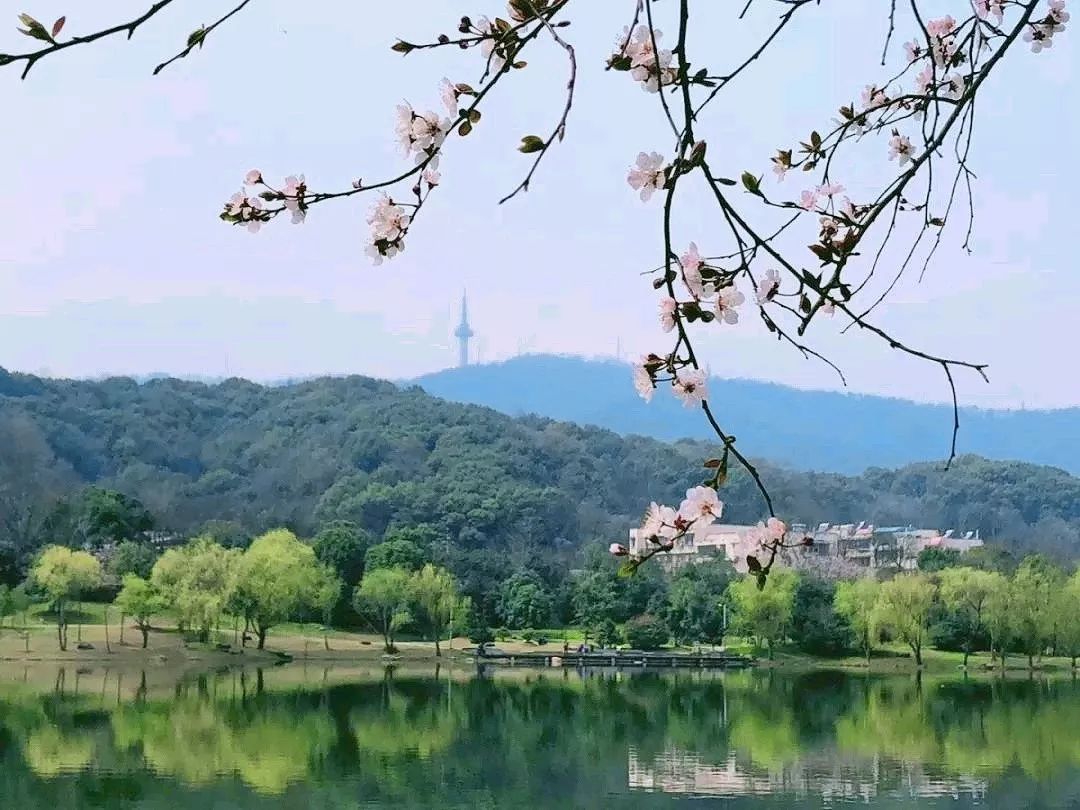 桃子湖 