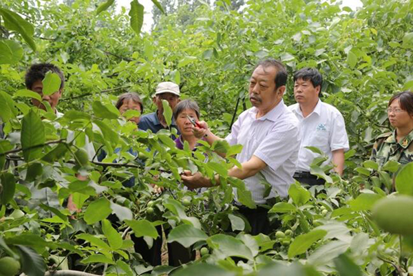 太行山上的“新愚公”李保国