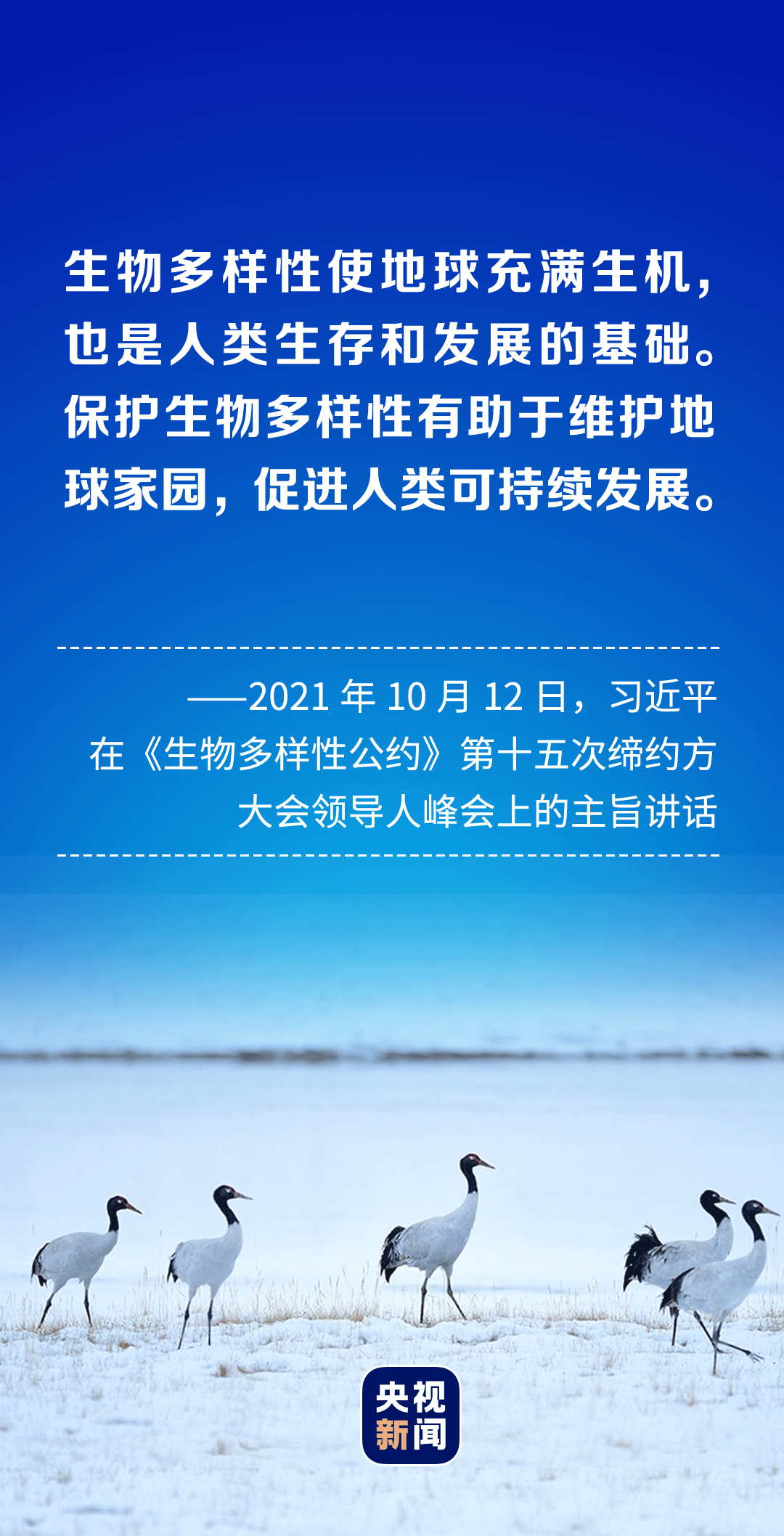 和人民在一起·2021丨美丽中国