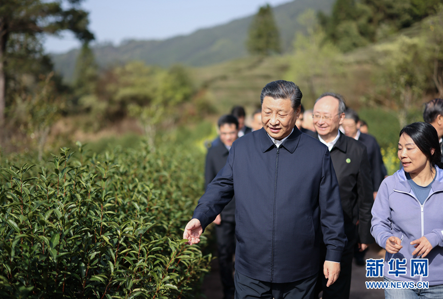 　　3月22日至25日，中共中央总书记、国家主席、中央军委主席习近平在福建考察。这是22日下午，习近平在南平武夷山市星村镇燕子窠生态茶园，察看春茶长势，了解当地茶产业发展情况。 新华社记者 王晔 摄